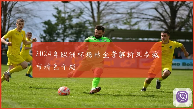 2024年欧洲杯场地全景解析及各城市特色介绍